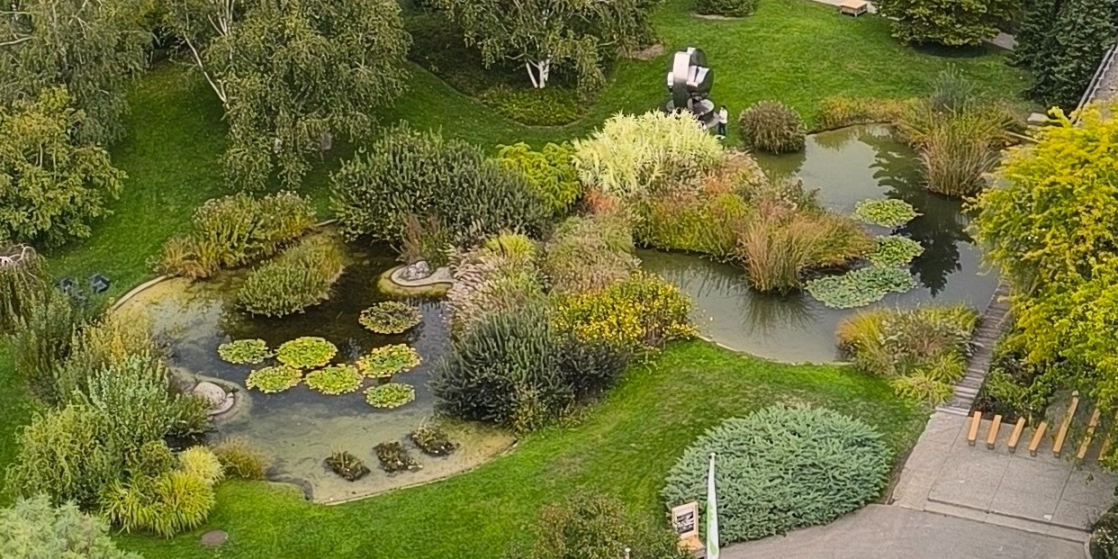 Contexte du milieu